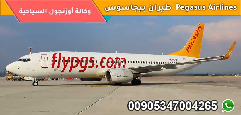 طيران بيجاسوس  Pegasus Airlines